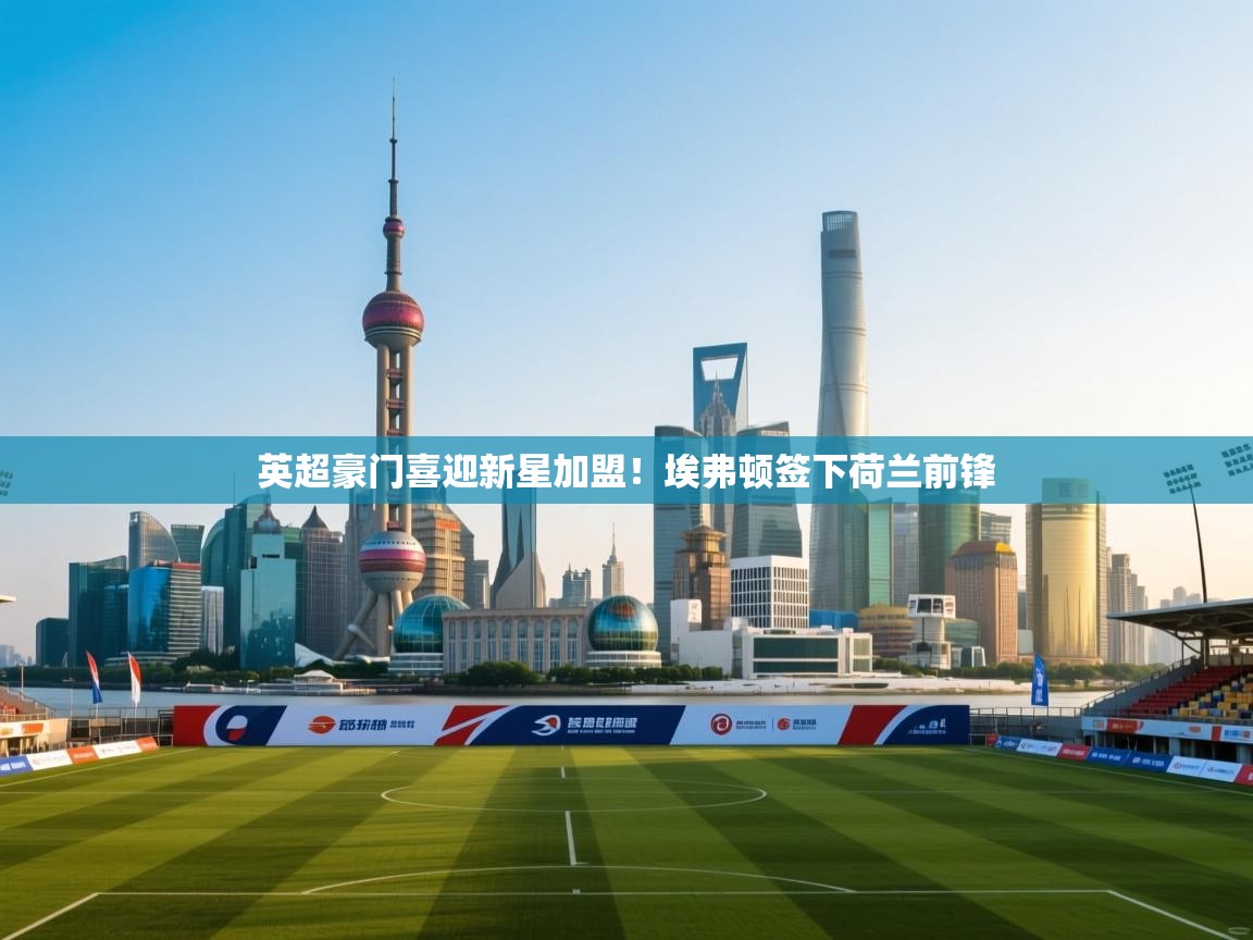 英超豪门喜迎新星加盟！埃弗顿签下荷兰前锋  第2张