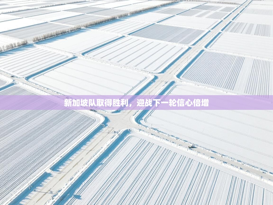 新加坡队取得胜利,迎战下一轮信心倍增