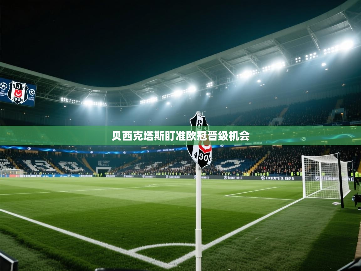 贝西克塔斯盯准欧冠晋级机会  第1张