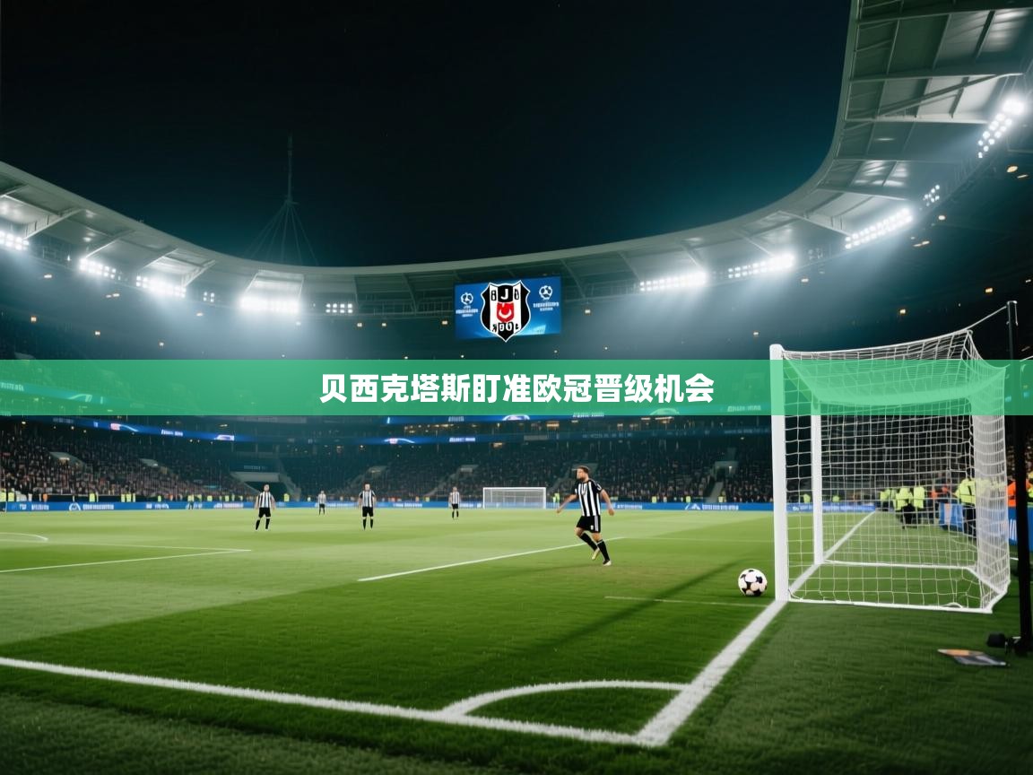 贝西克塔斯盯准欧冠晋级机会  第2张
