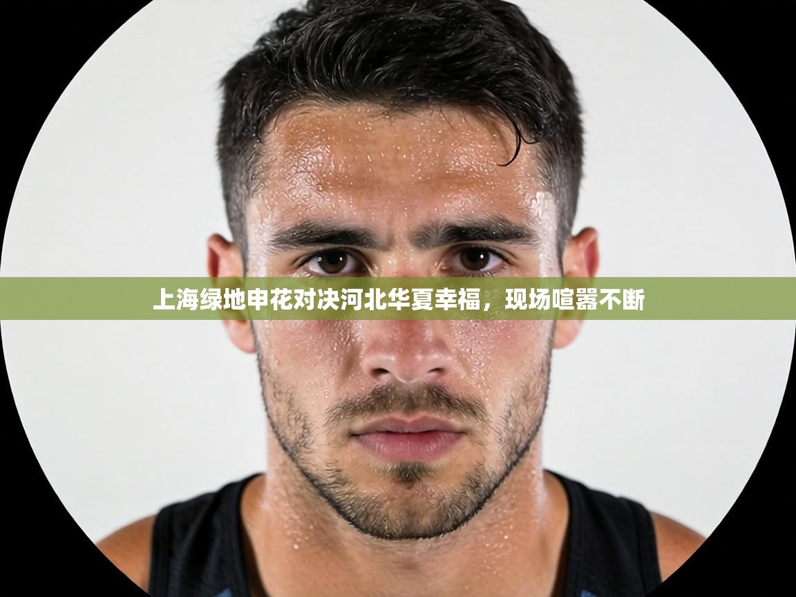 上海绿地申花对决河北华夏幸福,现场喧嚣不断